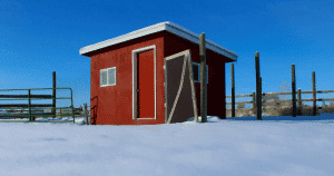 raising chickens in cold weather - keeping chickens warm in winter