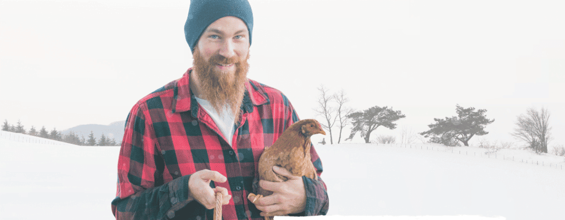 Top tips for raising chickens in cold weather | Run Chicken