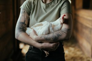 chicken affection - chicken lovers