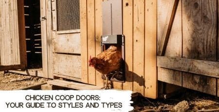 chicken-coop-doors-guide