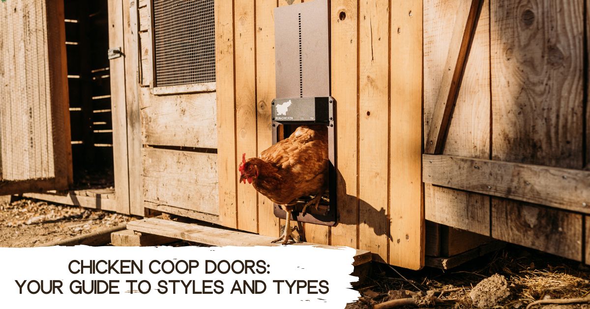 chicken-coop-doors-guide