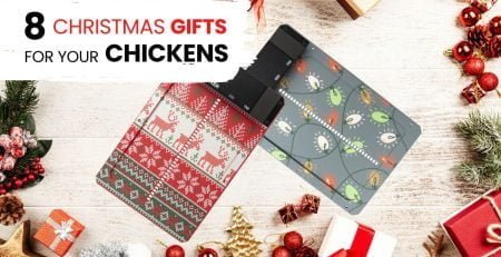 chirstmas gifts for chickens