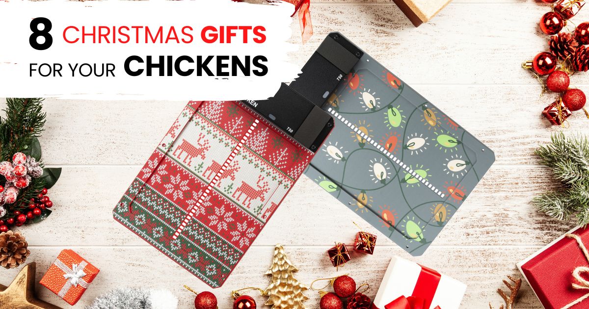chirstmas gifts for chickens