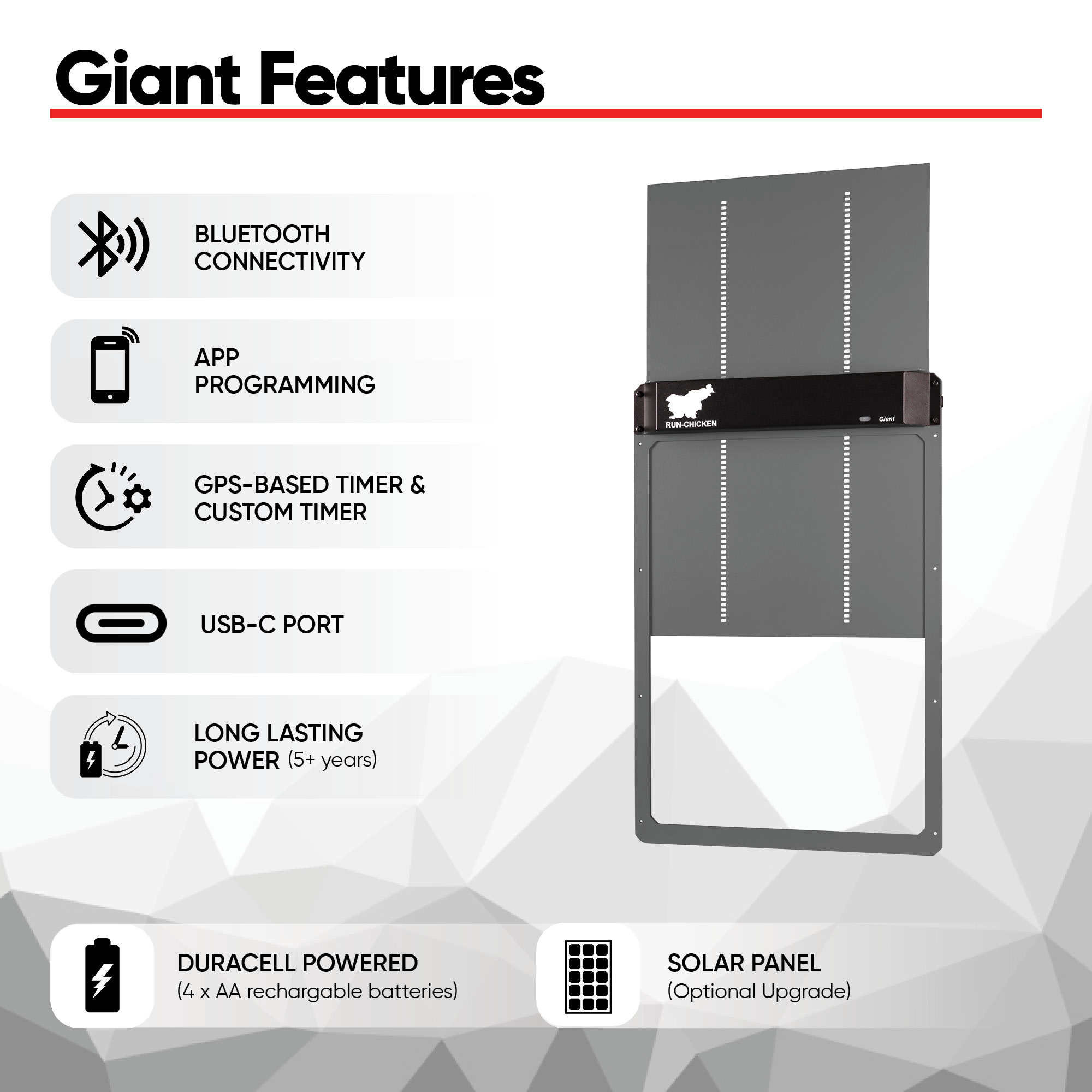 Giant Gray - Image 3
