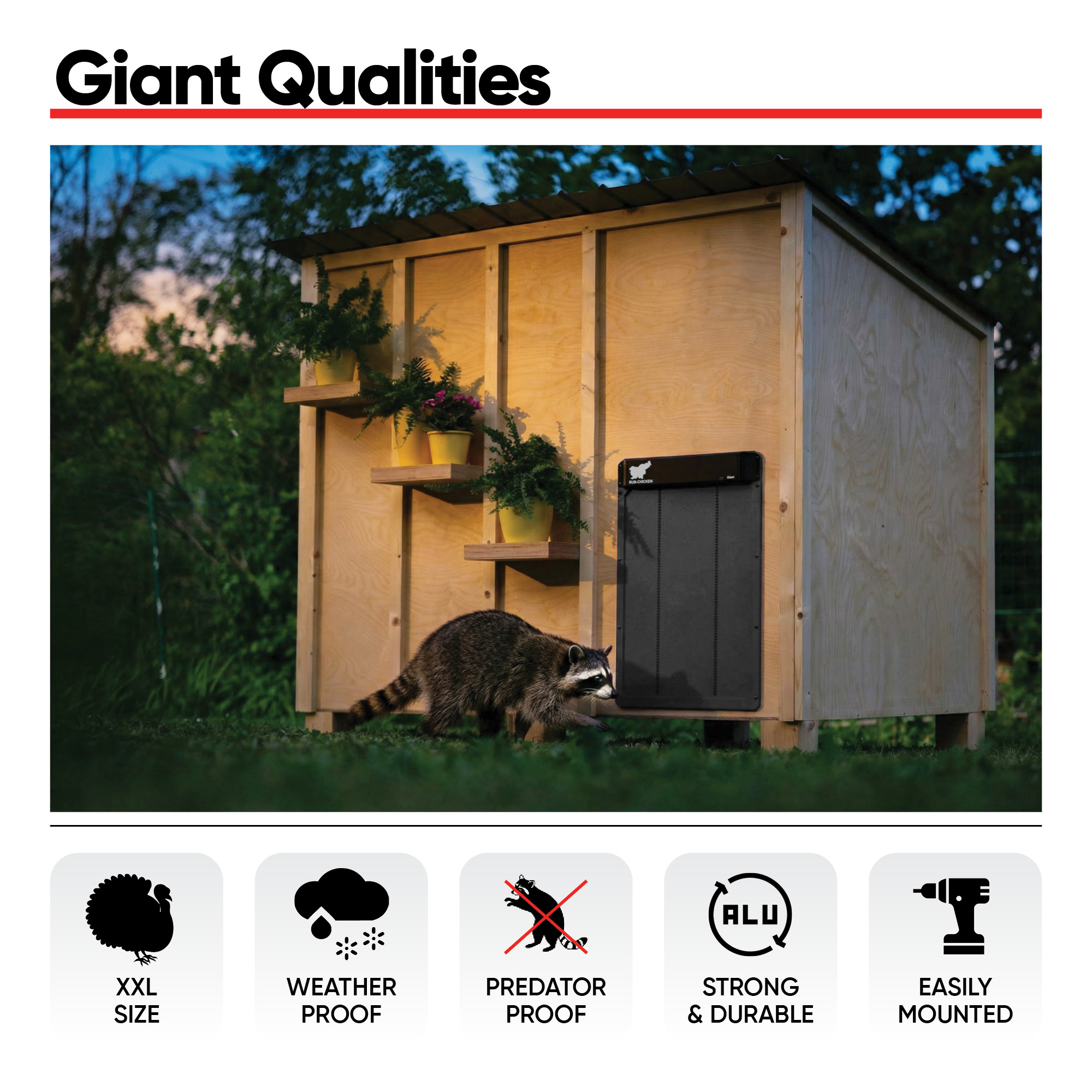 Giant Gray - Image 5