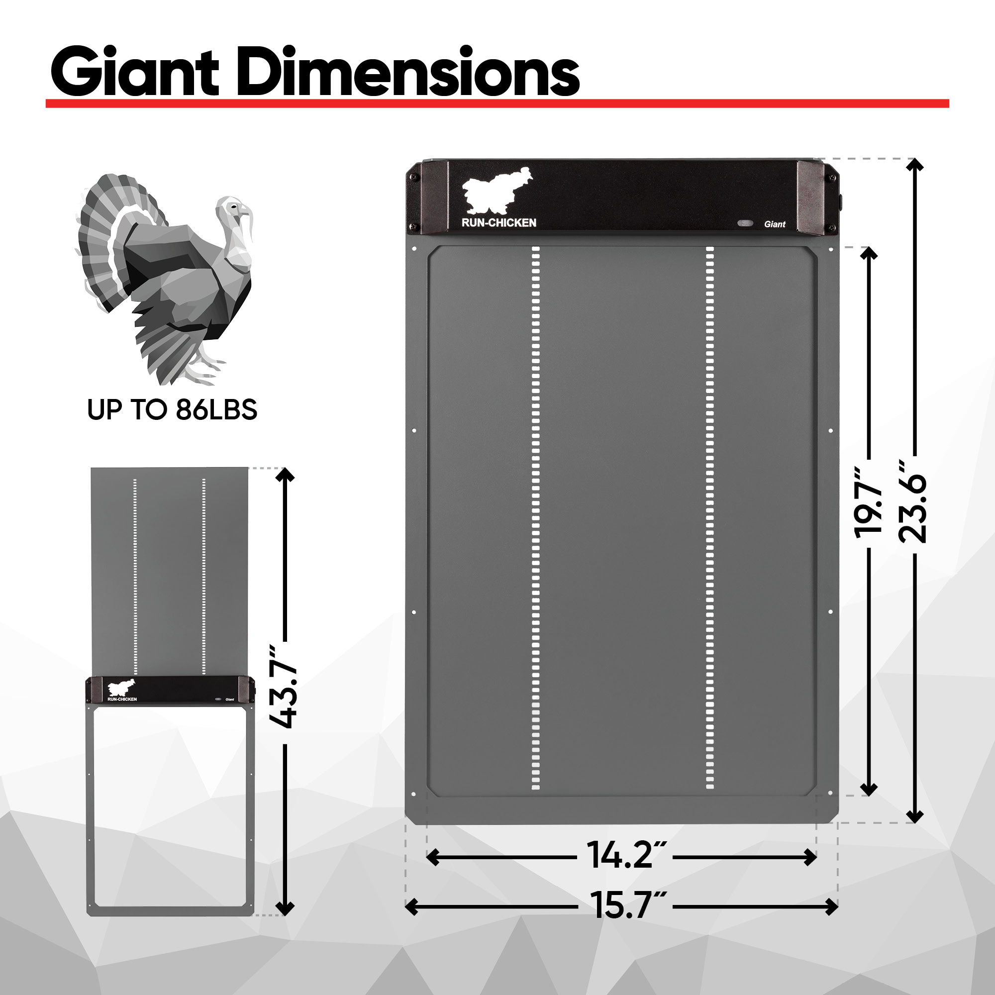Giant Gray - Image 4