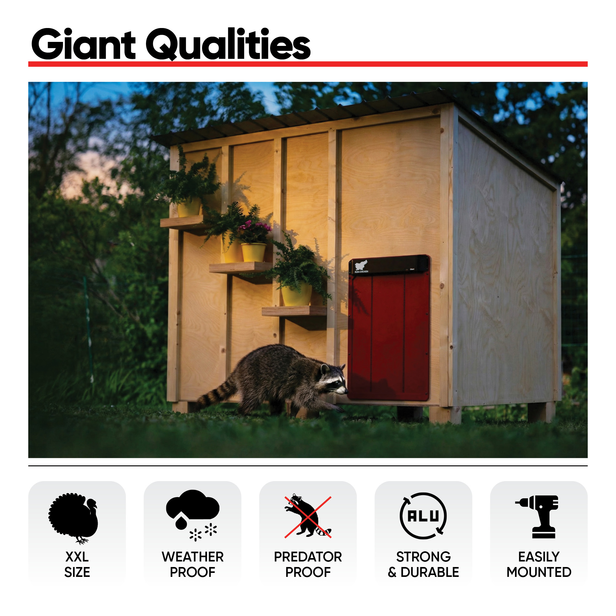 Giant Red - Image 5