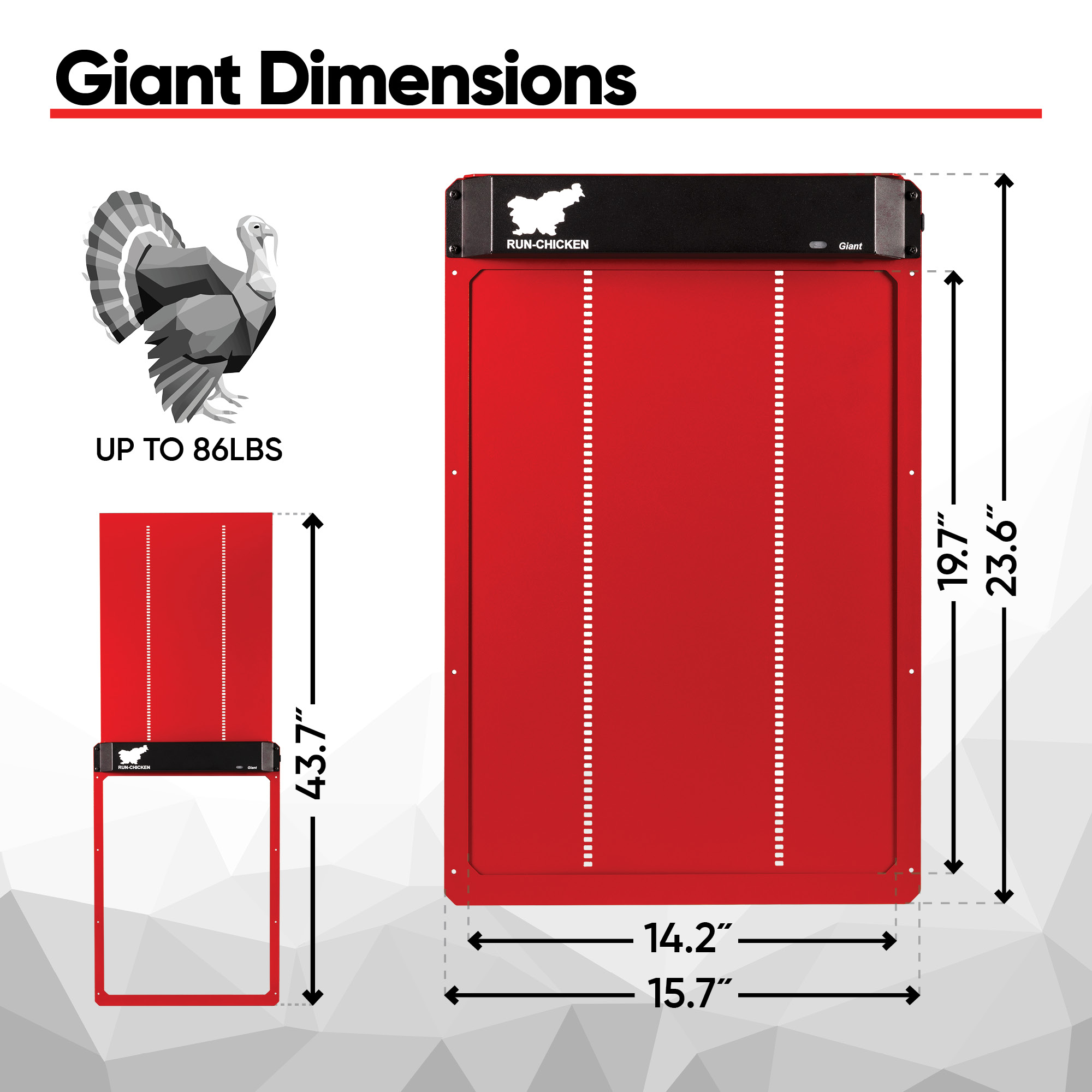 Giant Red - Image 4