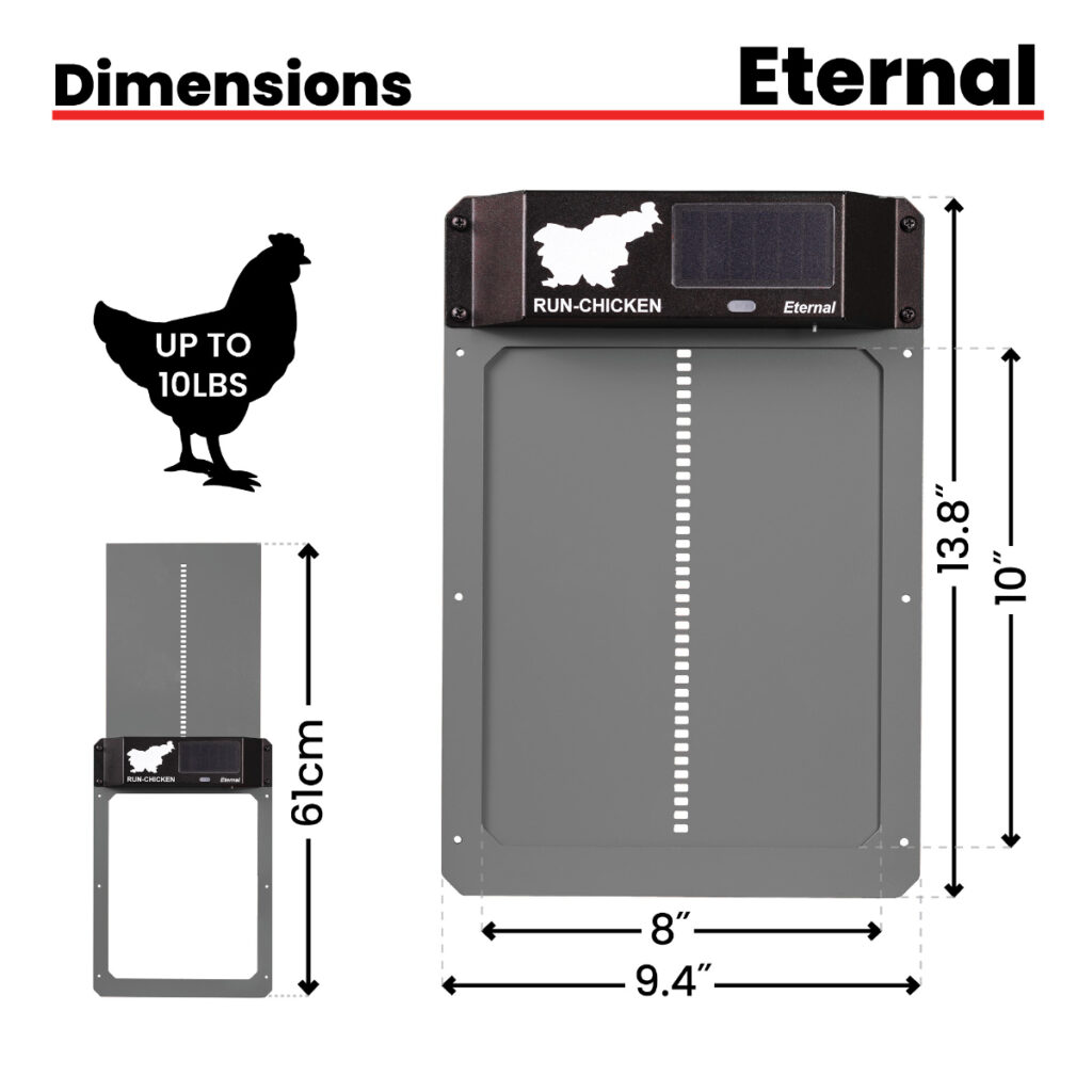 Eternal Door Dimensions