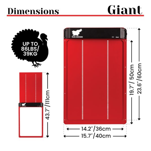 Giant Red