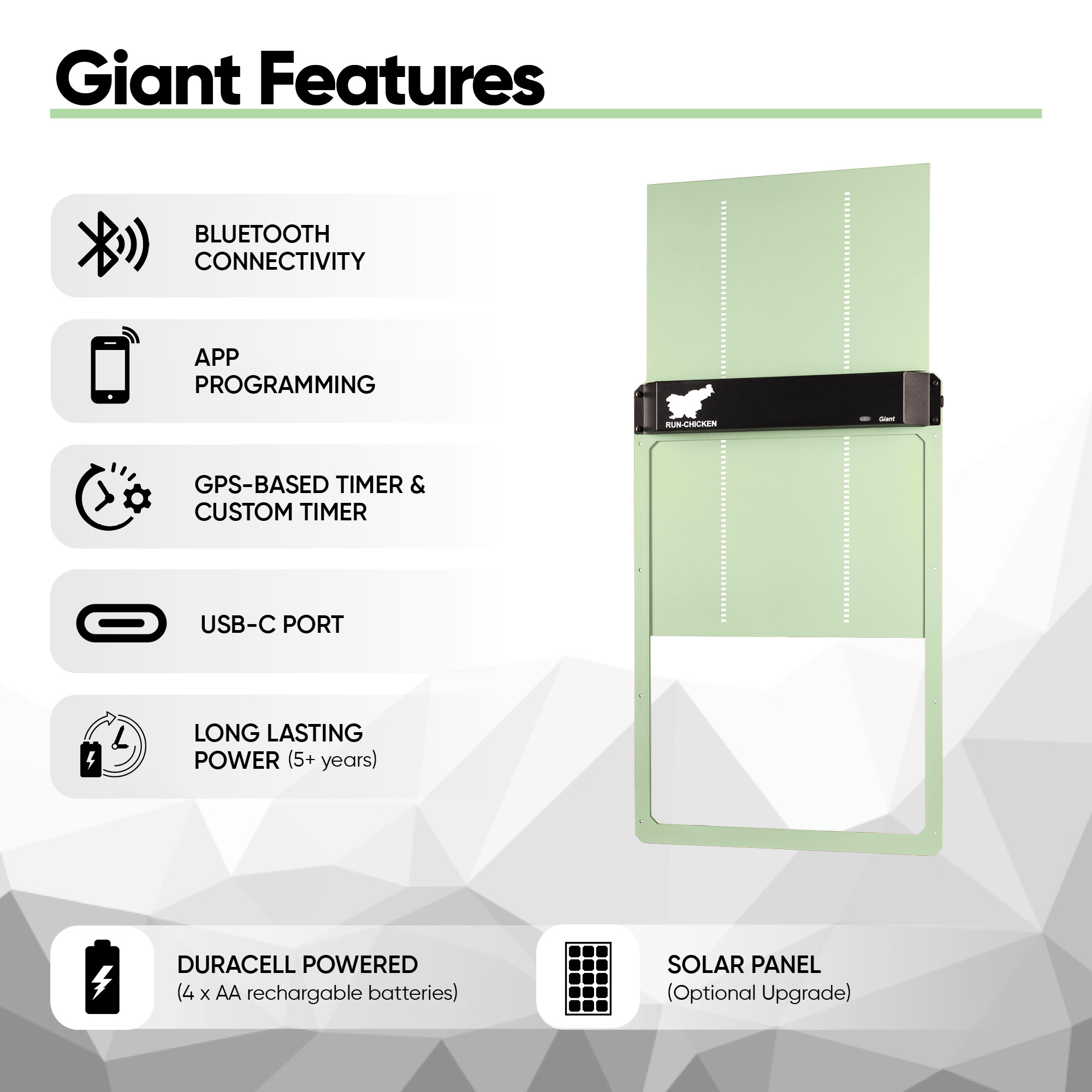 Giant Mint - Image 3