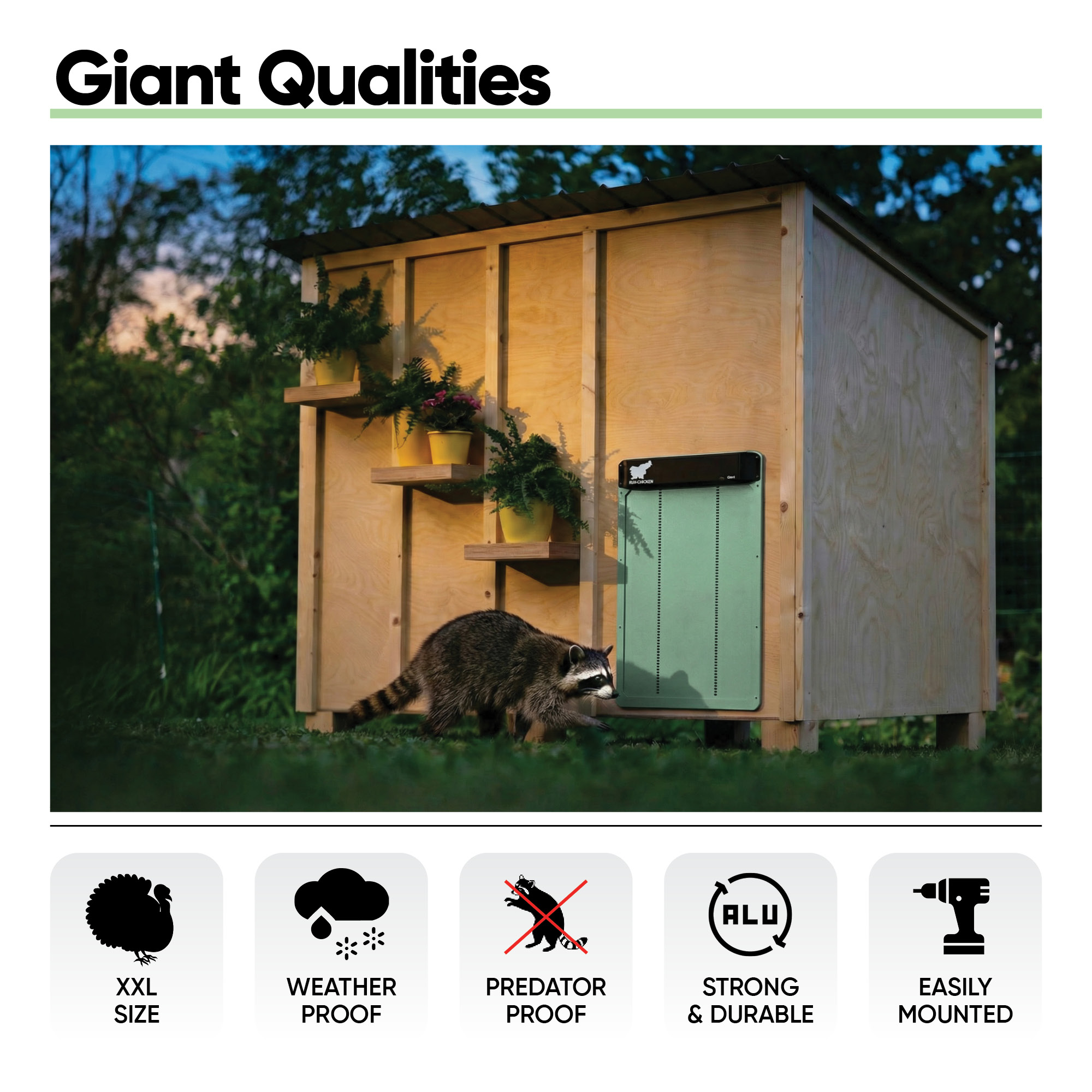 Giant Mint - Image 5