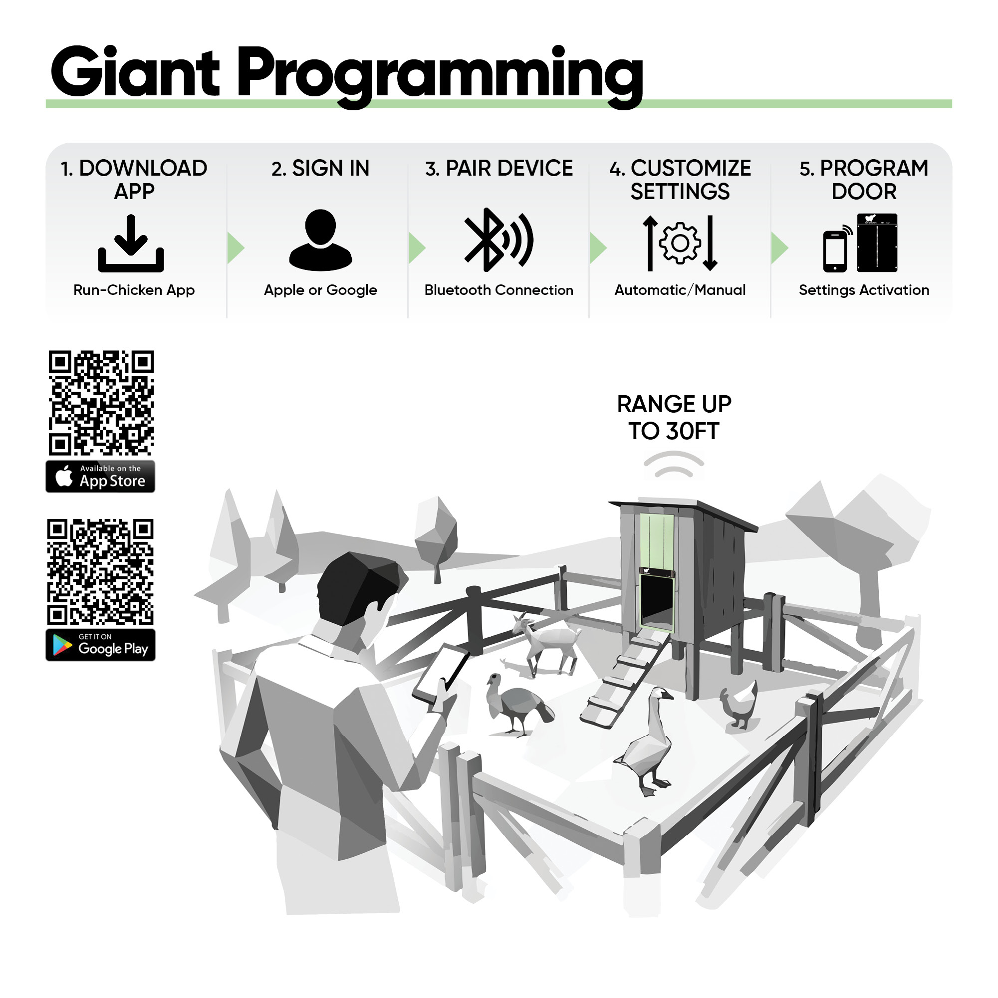 Giant Mint - Image 6
