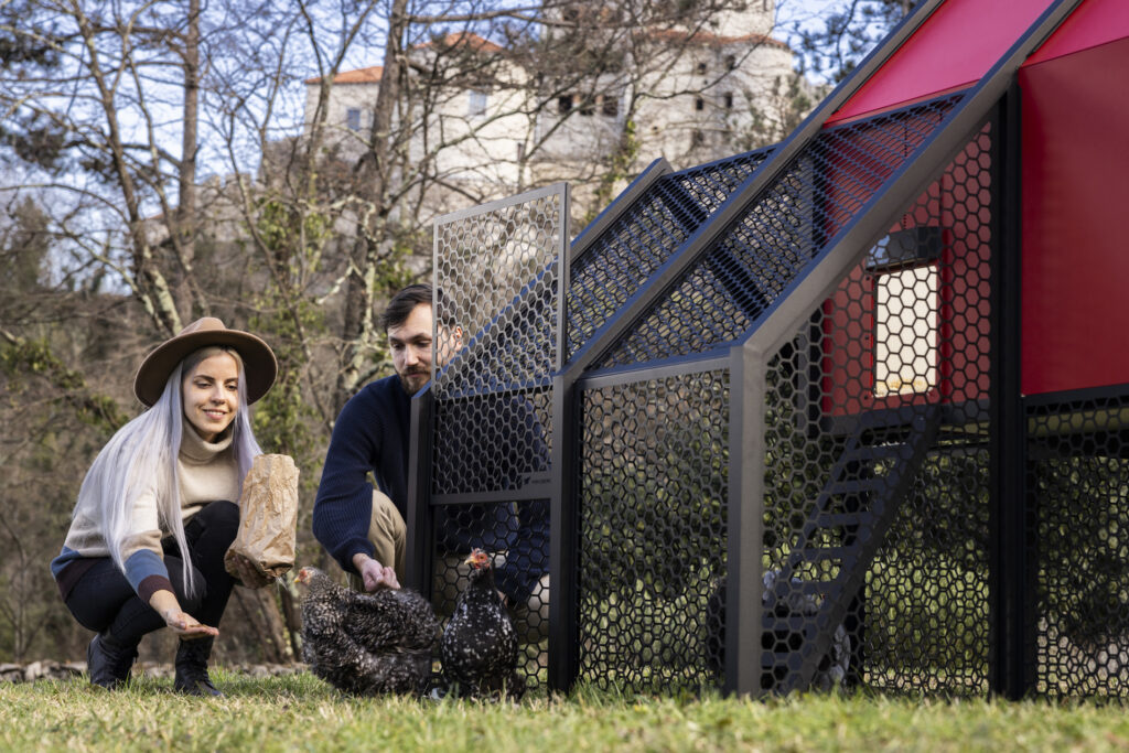 chicken coop