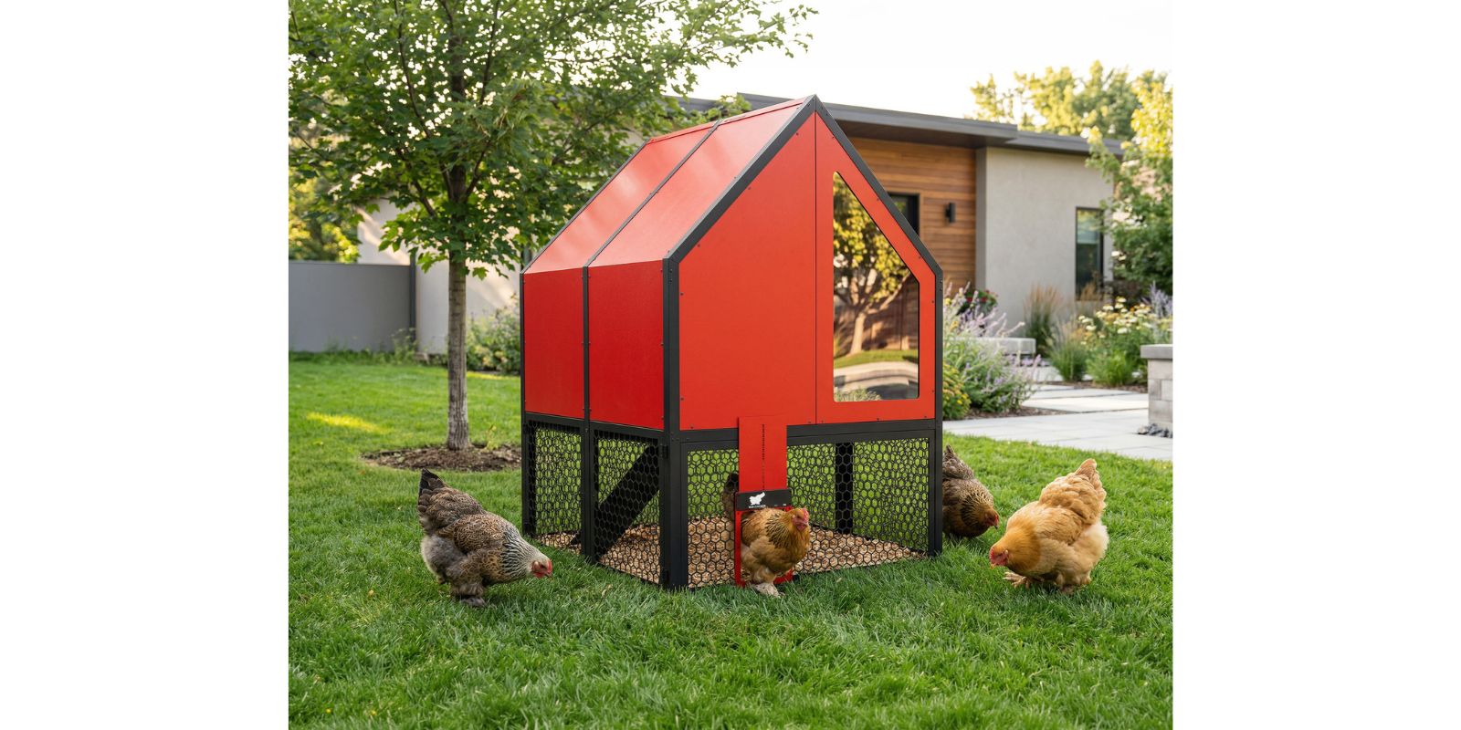 Chicken Coop