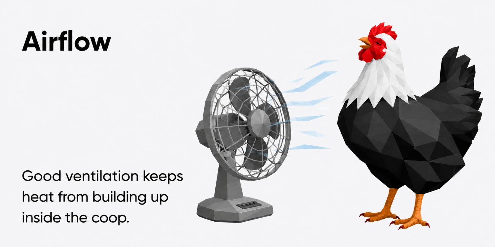 Summer chicken care