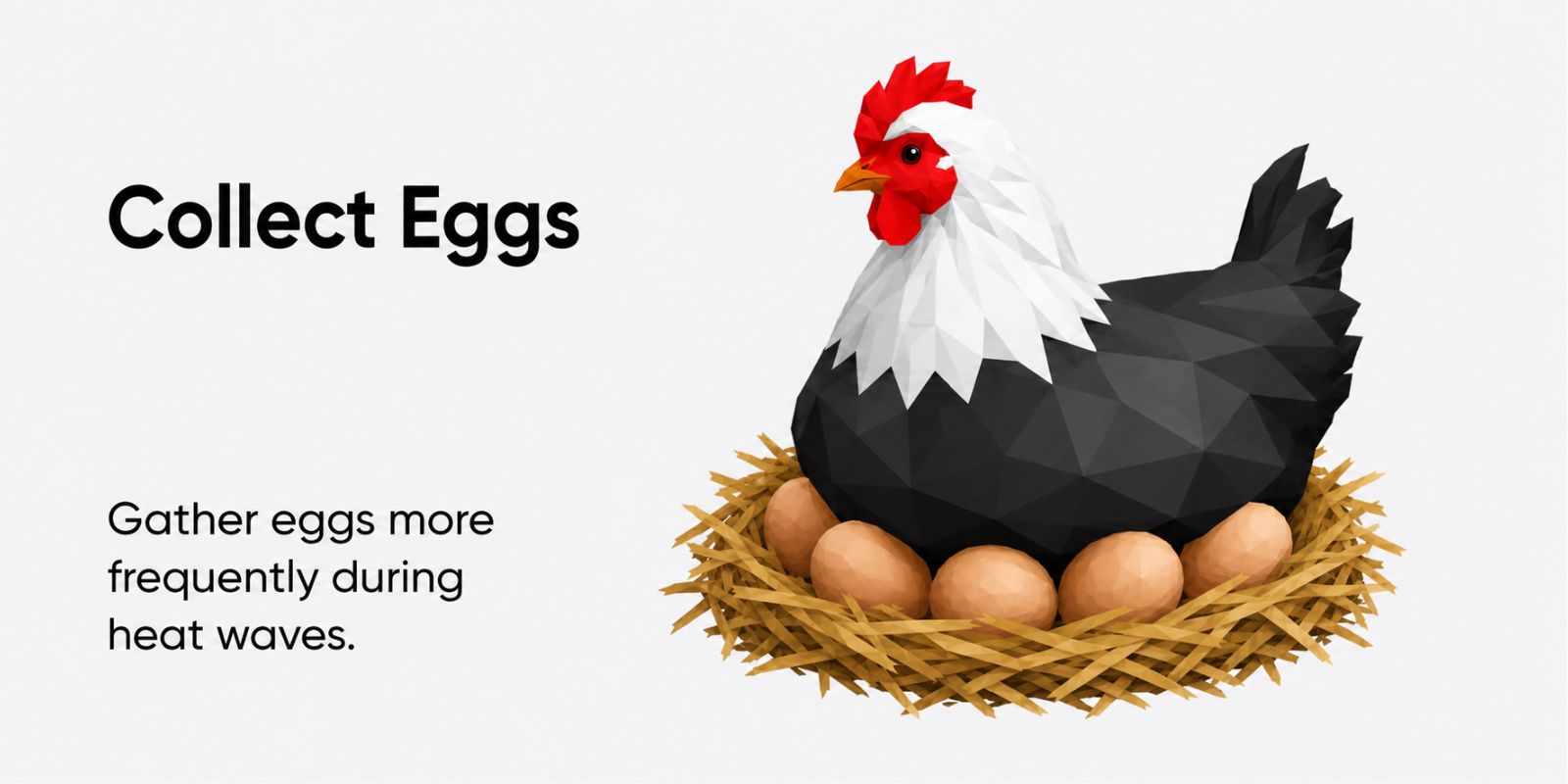 Summer chicken care