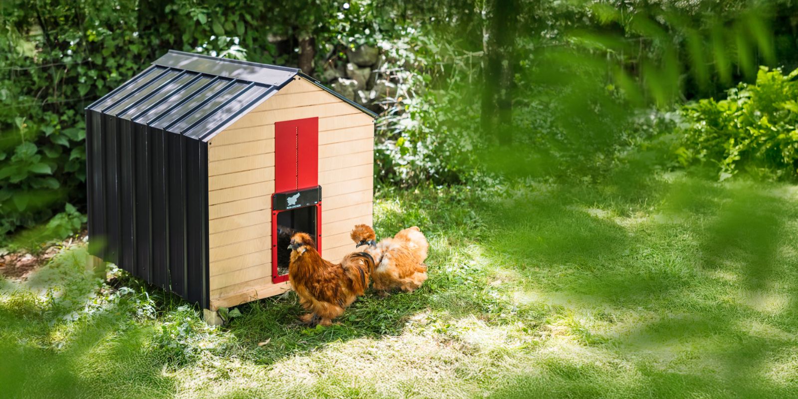 Chicken coop door